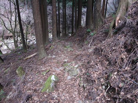 20170113hike (460)